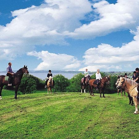 גרוס וויטנזה Ponyhof Naeve Am Wittensee מראה חיצוני תמונה