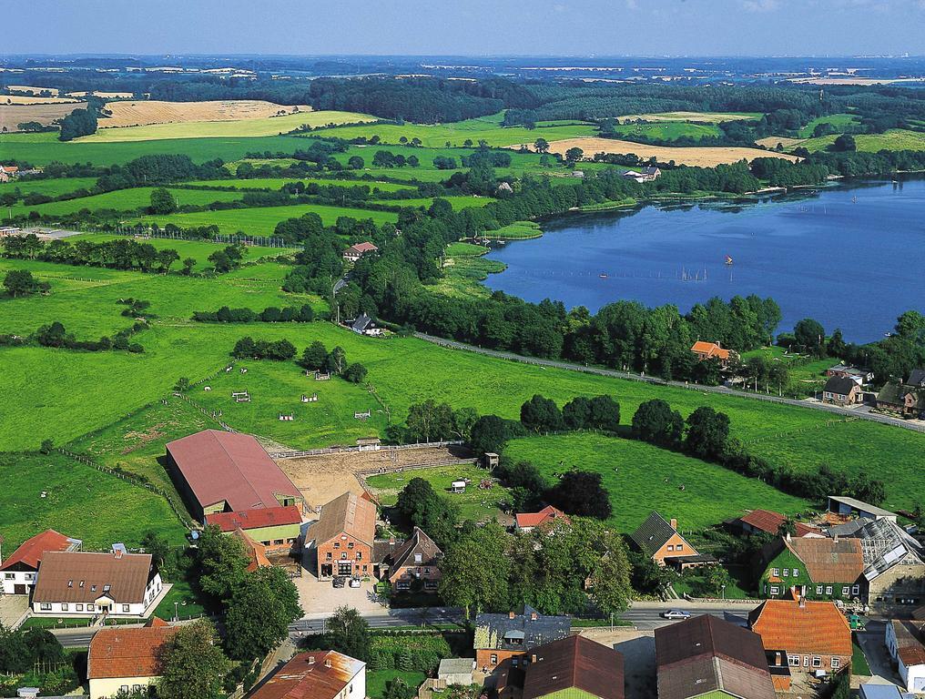 גרוס וויטנזה Ponyhof Naeve Am Wittensee מראה חיצוני תמונה