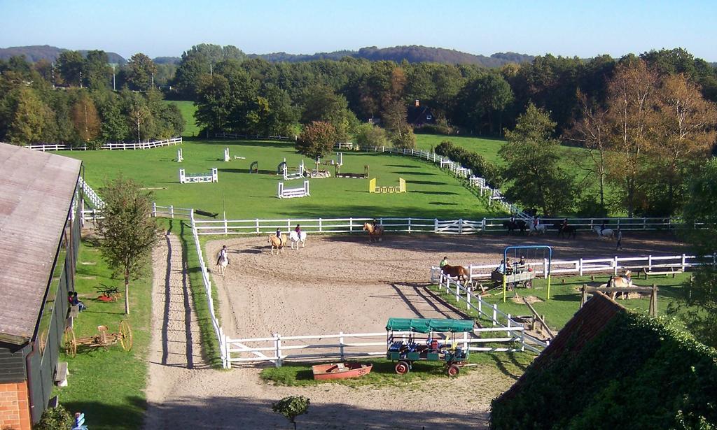 גרוס וויטנזה Ponyhof Naeve Am Wittensee מראה חיצוני תמונה